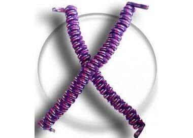 ​​1 paire x lacets ressorts élastiques violet rose et blanc