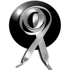 Lacets de chaussures satin gris paillettes brillantes…