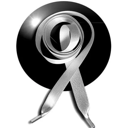 Lacets de chaussures satin gris paillettes brillantes…