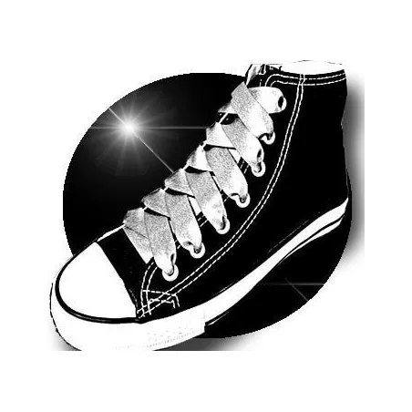 Lacets de chaussures satin gris paillettes brillantes…