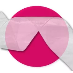 Lacets ruban organza organdi blanc fantaisie en vente en… 2