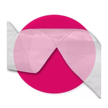 Lacets ruban organza organdi blanc fantaisie en vente en…