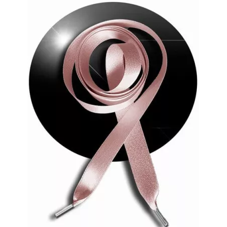 Lacets de chaussures satin nude paillettes brillantes…