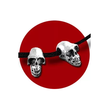 Envie de décorer vos chaussures ? Décorations Crânes&nbsp;en…