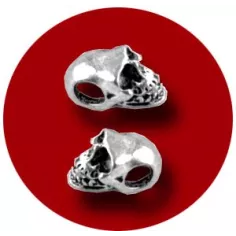 Envie de décorer vos chaussures ? Décorations Crânes&nbsp;en… 2