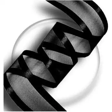 Lacets organdi noir gansé satin noir pour vos chaussures