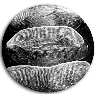 Lacets organdi dégradé de gris à noir. pour vos chaussures