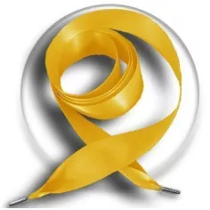 Lacets larges en satin moutarde pour vos chaussures 2