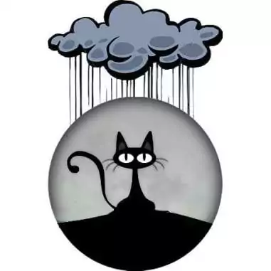 Envie de décorer vos chaussures ? Décorations chat désabusé