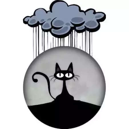 Envie de décorer vos chaussures ? Décorations chat désabusé Envie de décorer vos chaussures ? Décorations chat désabusé