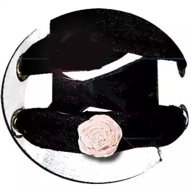 Envie de décorer vos chaussures ? Décorations Roses rose poudré