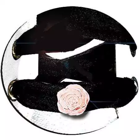 Envie de décorer vos chaussures ? Décorations Roses rose poudré