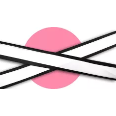 Lacets en satin large&nbsp;blanc gansé noir pour vos chaussures 2