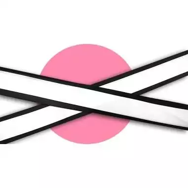 Lacets en satin large blanc gansé noir pour vos chaussures