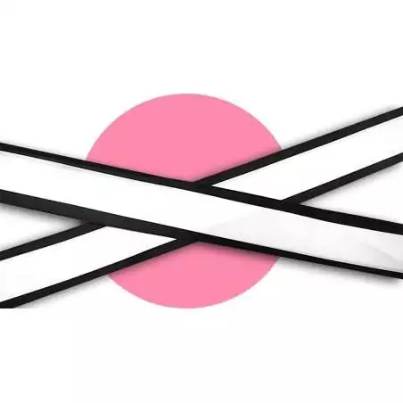 Lacets en satin large blanc gansé noir pour vos chaussures