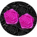 Set 2 décorations de lacets rose magenta