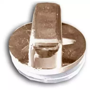 Envie de décorer vos chaussures ? Décorations Roses noires & blanches