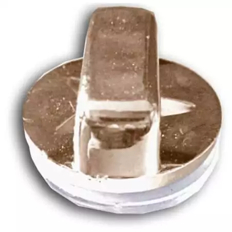 Envie de décorer vos chaussures ? Décorations Roses noires & blanches