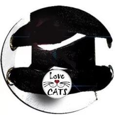 Envie de décorer vos chaussures ? Décorations "love cats" 2