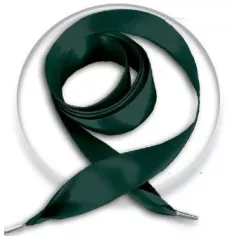 Lacets larges&nbsp;en satin vert&nbsp;anglais pour vos chaussures