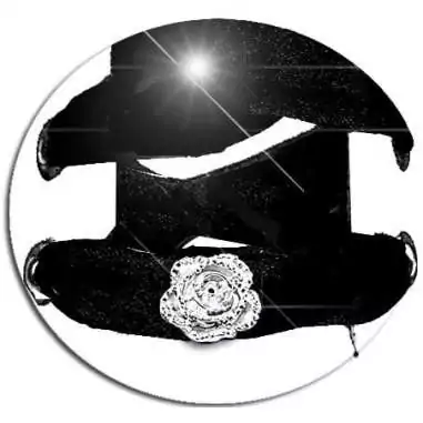 Envie de décorer vos chaussures ? Décorations fleurs argentées /dorées