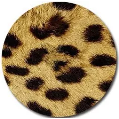 Socquettes&nbsp;léopard pour vos jolis pieds 2