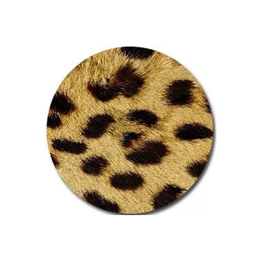 Socquettes&nbsp;léopard pour vos jolis pieds