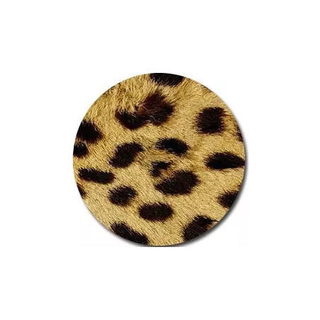 Socquettes&nbsp;léopard pour vos jolis pieds