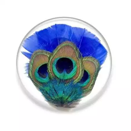 Lacets plats bleu-vert paon pour vos chaussures Lacets plats bleu-vert paon pour vos chaussures