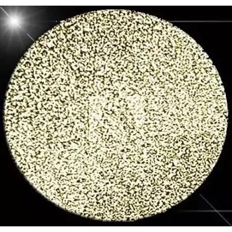 Lacets paillettes brillants champagne pour vos chaussures Lacets paillettes brillants champagne pour vos chaussures