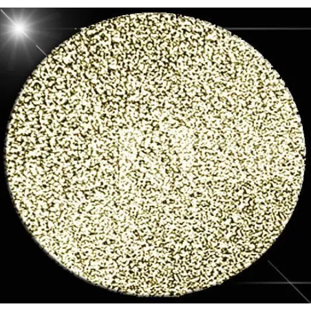 Lacets paillettes brillants champagne pour vos chaussures