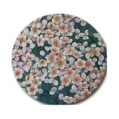 Socquettes japon  pour vos jolis pieds 2