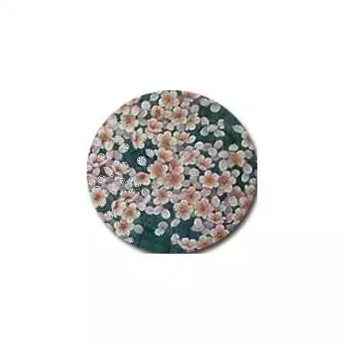 Socquettes japon  pour vos jolis pieds