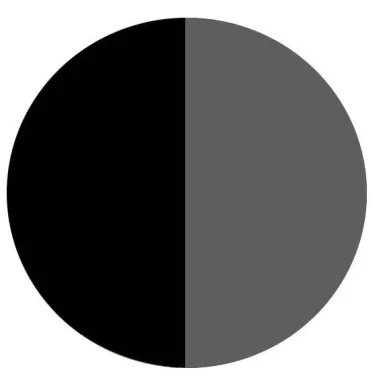 Lacets de chaussures noirs blancs bicolores ronds, en…