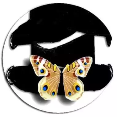 Envie de décorer vos chaussures ? Décorations Papillons marrons