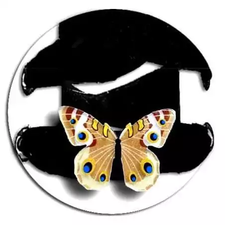 Envie de décorer vos chaussures ? Décorations Papillons marrons