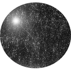 Chaussettes noires pailletées pour vos jolis pieds 2