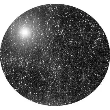 Chaussettes noires pailletées pour vos jolis pieds