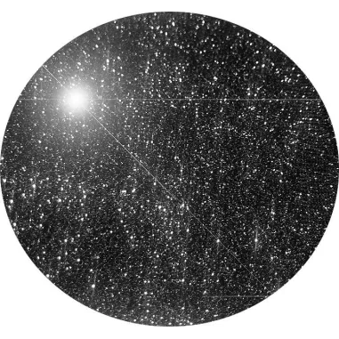 Chaussettes&nbsp;noires pailletées pour vos jolis pieds