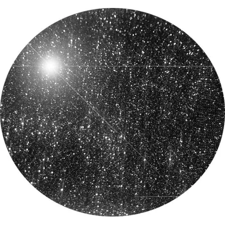 Chaussettes&nbsp;noires pailletées pour vos jolis pieds