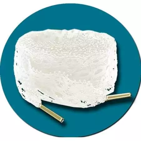 Lacets en dentelle blanc cassé pour vos chaussures Lacets en dentelle blanc cassé pour vos chaussures