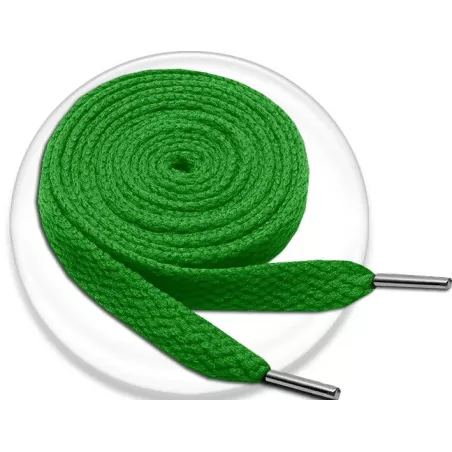 Lacets de chaussures verts gazon et plats, boutique de…