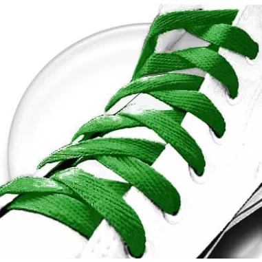 Lacets de chaussures verts gazon et plats, boutique de…