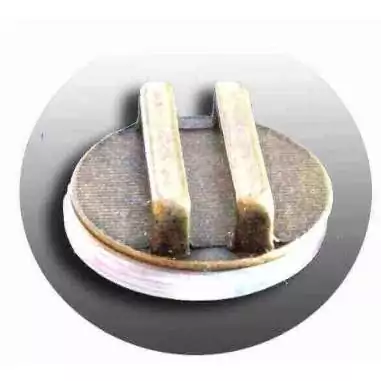 Envie de décorer vos chaussures ? Décorations chatons tout mignons