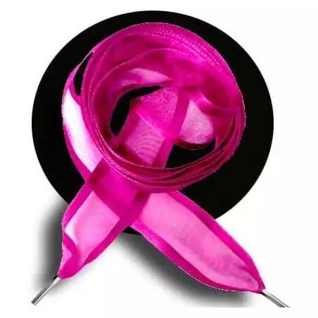 Lacets organdi fushia gansé de satin pour vos chaussures