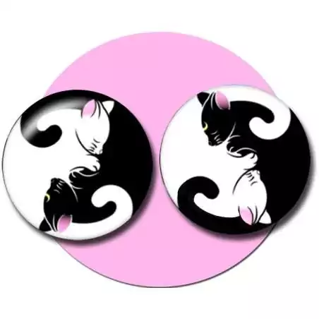 Envie de décorer vos chaussures ? Décorations yin-yang chats