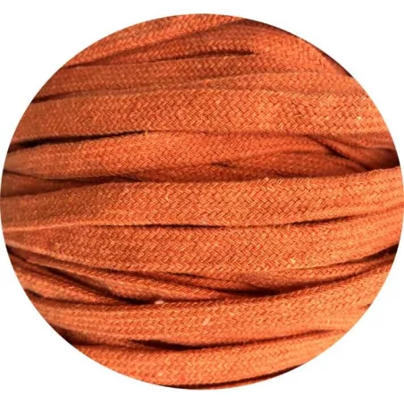 Lacets épais turquoises bleus fantaisie dans boutique de…