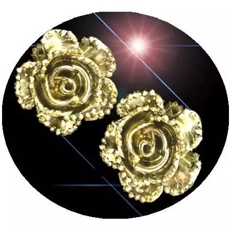 Envie de décorer vos chaussures ? Décorations fleurs argentées /dorées Envie de décorer vos chaussures ? Décorations fleurs argentées /dorées