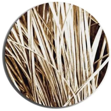 Lacets fins métallisés dorés pour vos chaussures