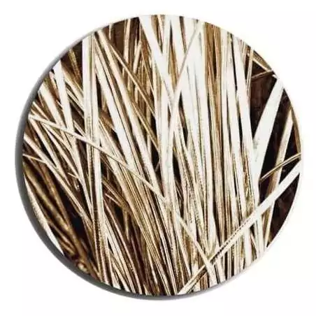 Lacets fins métallisés dorés pour vos chaussures